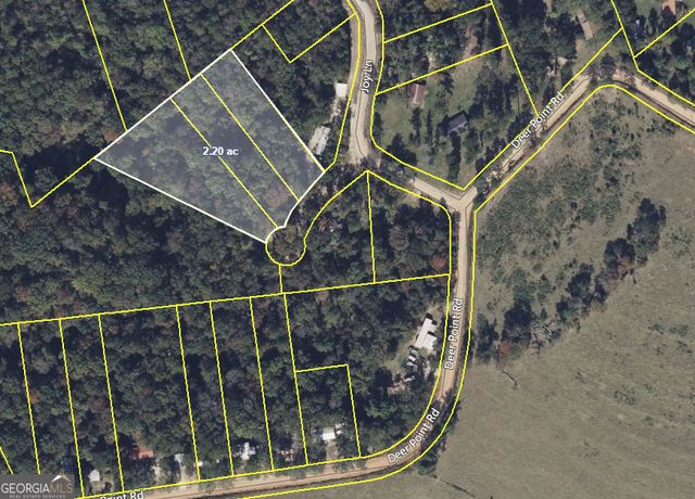 2 / Ac Fawn Ln, Georgetown, GA 39854