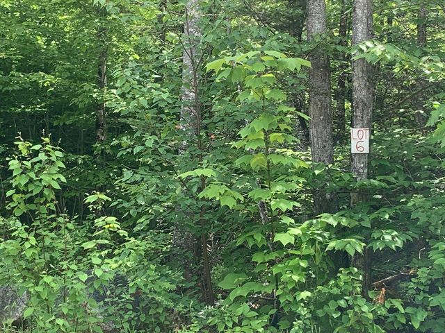 Lot #6 Northern Way Road, Holden, ME 04429