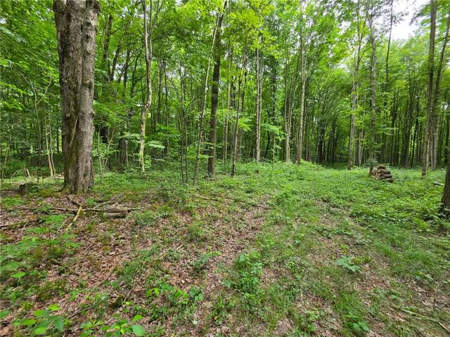 Fox Mine Rd, Jackson Center, PA 16133