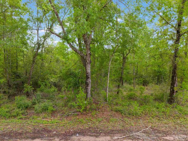 Lot 23 Mineral Springs Rd, Jay, FL 32565