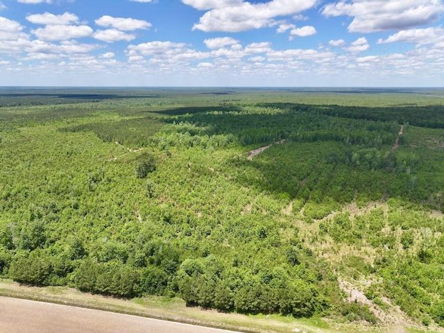 Guinea Mill Rd, Ernul, NC 28527