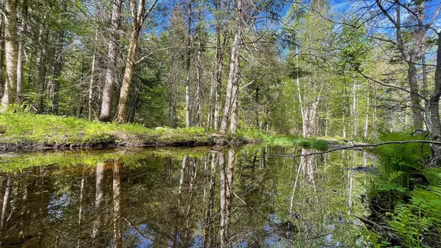 339 Long Pond Road, Jackman, ME 04945