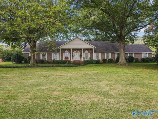 253 Blue Springs Rd, Somerville, AL 35670