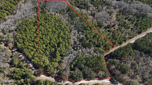Canopy Oak Blvd, Bonifay, FL 32425
