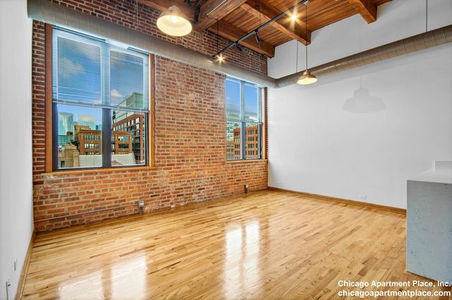 216 N  May St   #201, Chicago, IL 60607