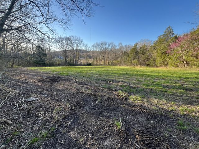 Bo Rd, Eagleville, TN 37060