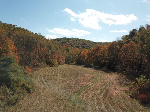 Clover Bottom Creek Rd, Mc Kee, KY 40447