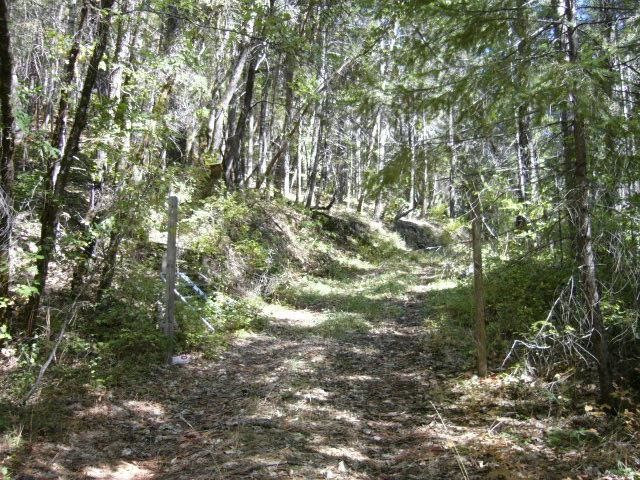 122 Acres Off Usfs Rd   #46N76, Happy Camp, CA 96039