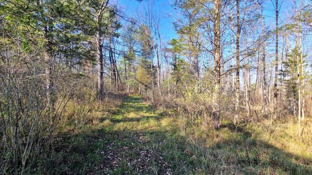 Willow Creek Rd, Trumansburg, NY 14886