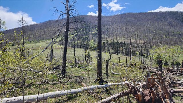 2334 Wohlstetter Loop, Fort Garland, CO 81133