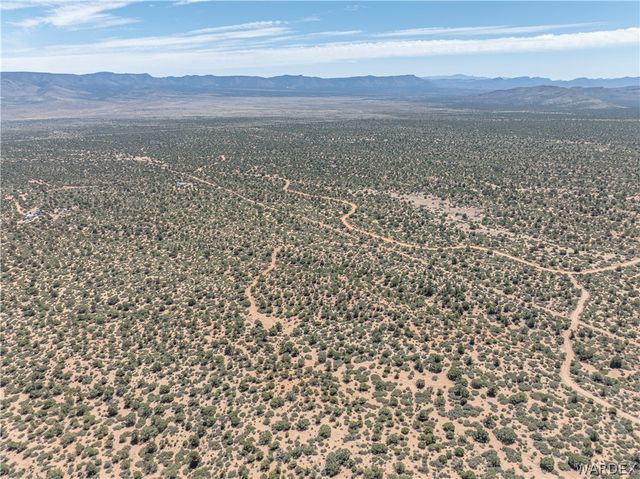 N  Green Tree Ln, Hackberry, AZ 86411