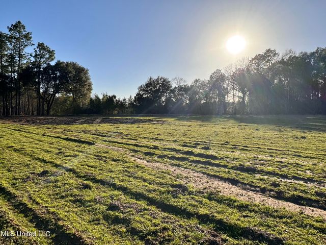 Lot 1 Marshall Smith Rd, Lucedale, MS 39452