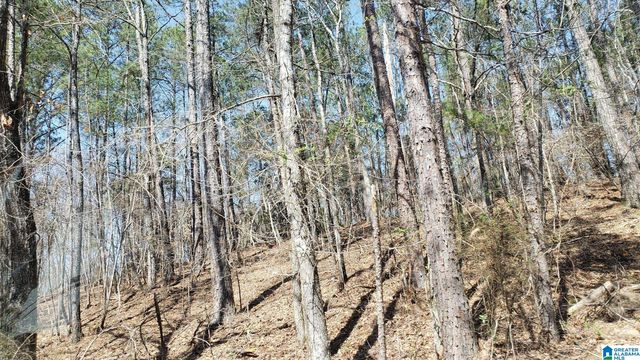 County Road 520 #1, Verbena, AL 36091