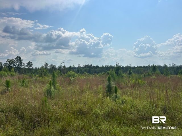 Bradley Rd, Brewton, AL 36426