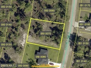 1044 Cheney AVE S, Lehigh Acres, FL 33974