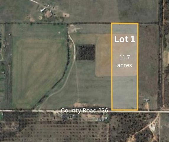 Lot 1 County Road 226, Clyde, TX 79510