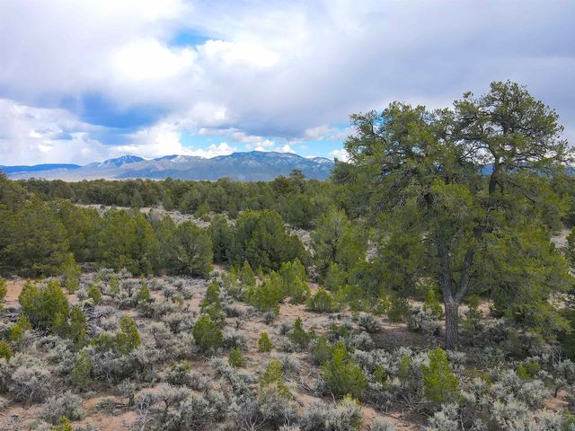 US Forest Rd #556, Carson, NM 87517