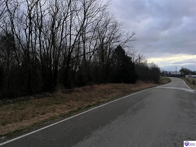 33AC Hedgepeth Rd, Canmer, KY 42722