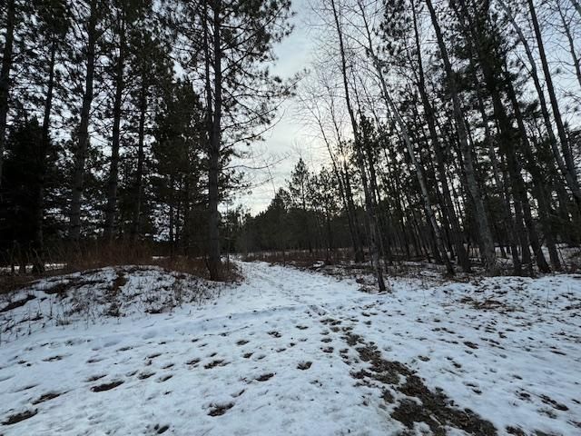 80A County Road 131, Blackduck, MN 56630