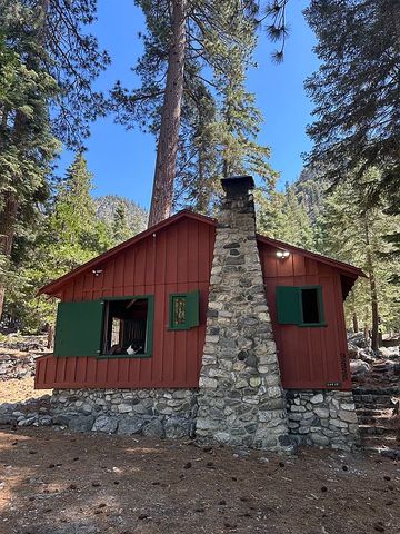 9555 Falls Rd, Forest Falls, CA 92339