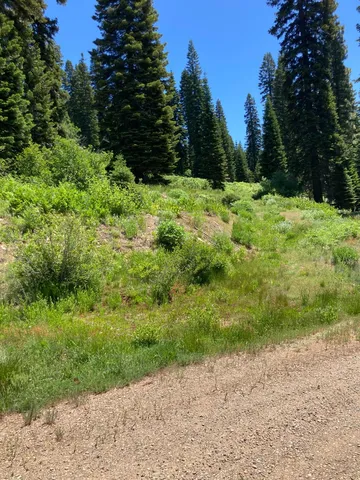 325 Norton Meadows Rd, Bucks Lake, CA 95971