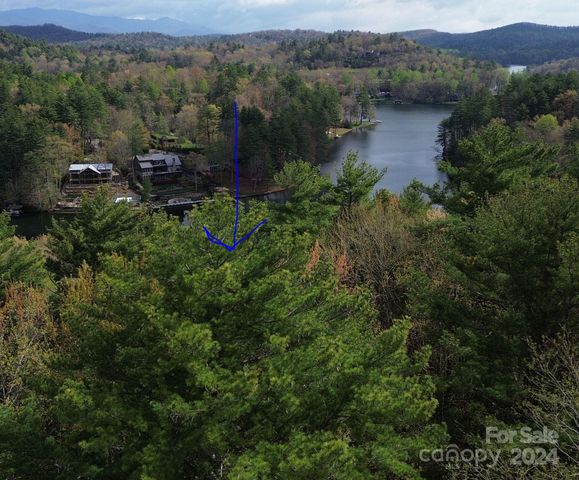 Lucy Ln, Lake Toxaway, NC 28747