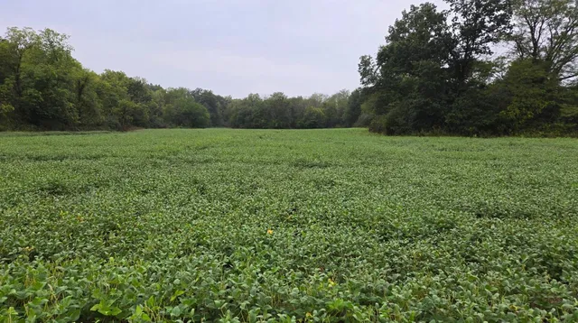 E  Klondike Rd, Gilman City, MO 64642
