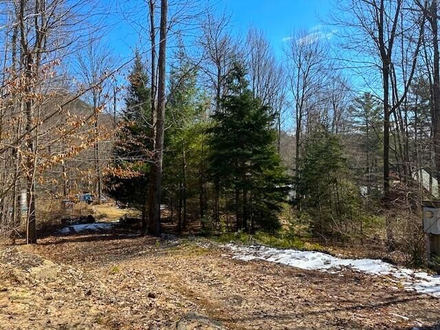 Rockledge Ln, Saranac Lake, NY 12983