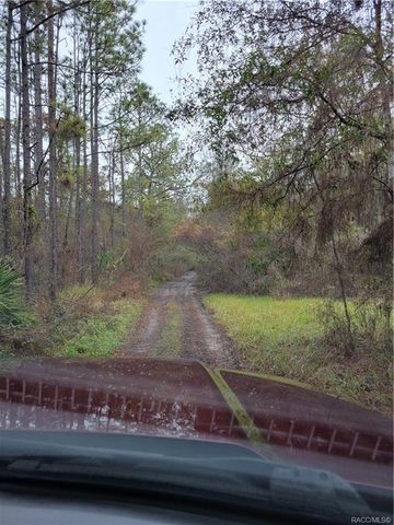 10048 N  Holyoak Ter, Dunnellon, FL 34433