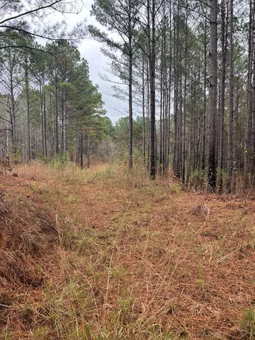 County Road 151 #A, Randolph, MS 38864