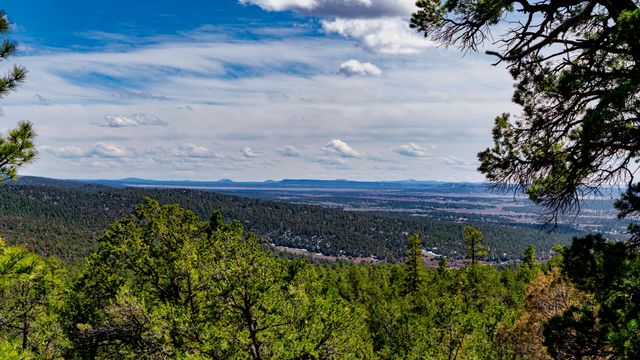 Forest Rd, Ramah, NM 87321