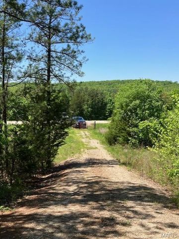 1 US Highway 67, Fredericktown, MO 63645