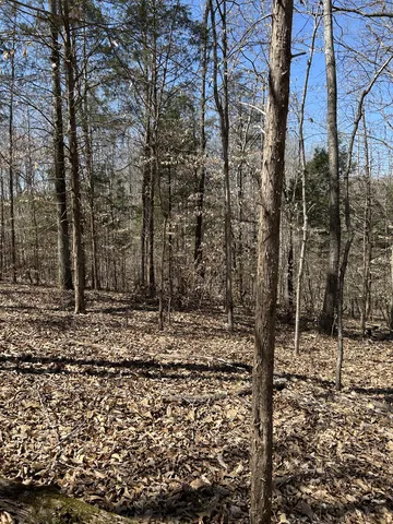820 Lucas Rd #1, Dickson, TN 37055