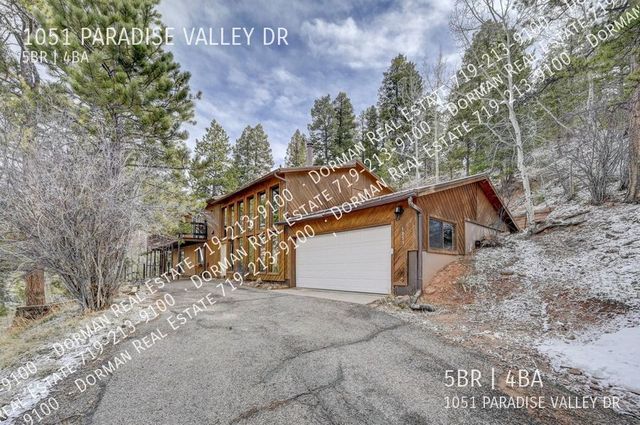 1051 Paradise Valley Dr, Woodland Park, CO 80863
