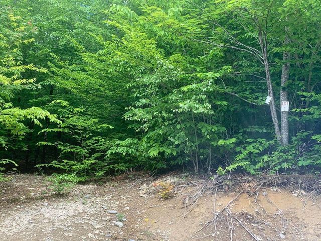 Lot # 1 Northern Way Road, Holden, ME 04429