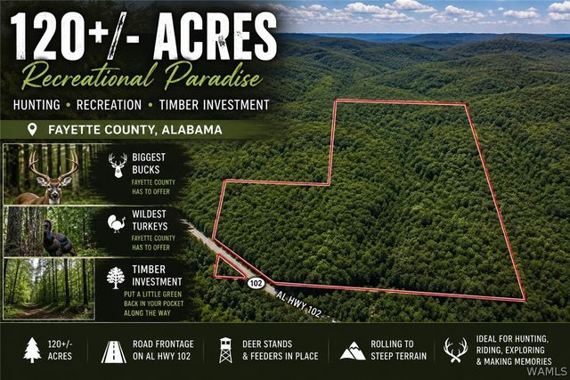 Highway 102, Carbon Hill, AL 35549