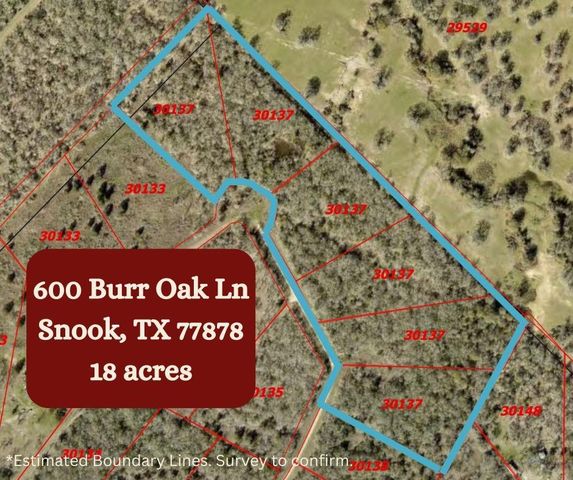 600 Burr Oak Ln, Snook, TX 77878
