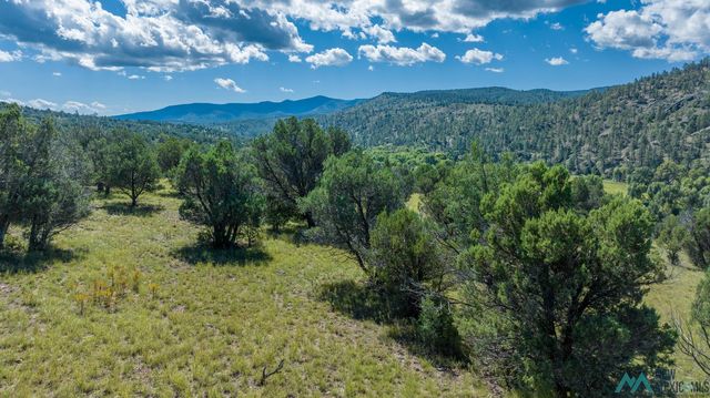 LOT 4a Highway 15 Rd #35, Hanover, NM 88041