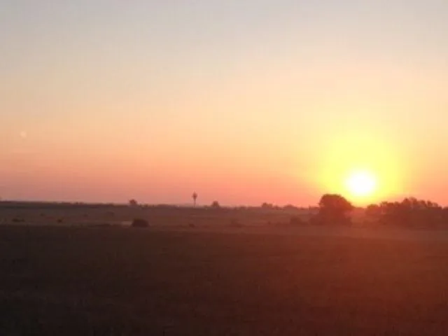 N  Willow St, Pleasanton, NE 68866