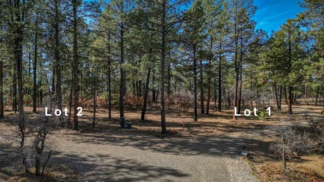 3700-3700-A County Rd   #1&2, Pagosa Springs, CO 81147