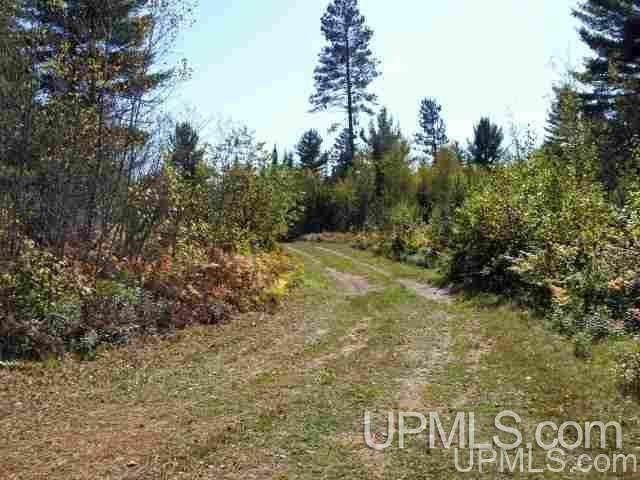 Forest Rd   #2127K, Iron River, MI 49935