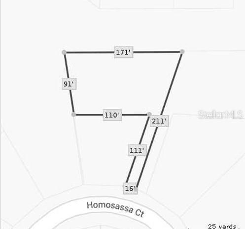 1325 Homosassa Ct   #2, Kissimmee, FL 34759