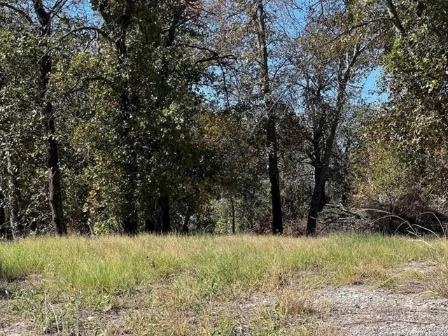 267 267 County Road 6861 LOT 40, Natalia, TX 78059
