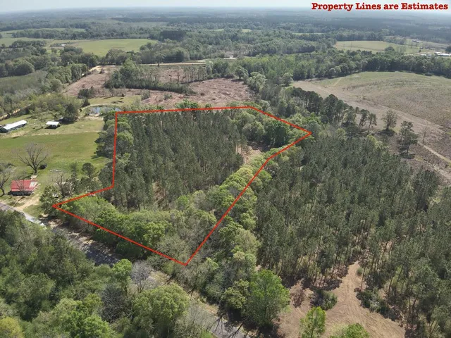 S  County Road 49, Slocomb, AL 36375