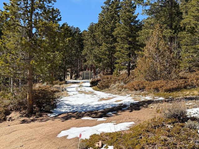 711 Osage Trl, Red Feather Lakes, CO 80545