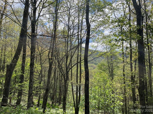 Peregrine Ln #B, Bakersville, NC 28705