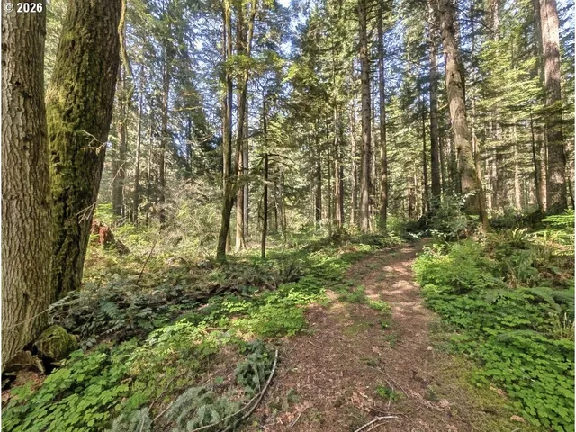 62955 E  Mountain Country Ln, Brightwood, OR 97011