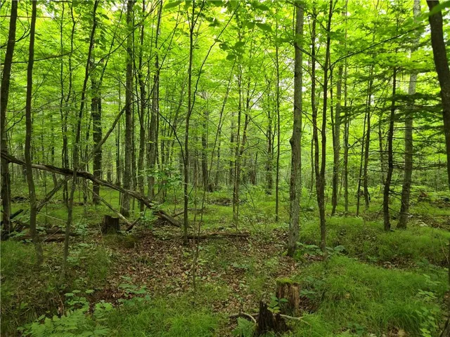 Lot 31 & 32 Woodcrest Drive, Cable, WI 54821