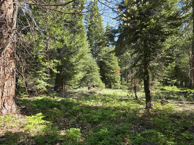 Lot 68 Old Mill Dr, McCloud, CA 96057