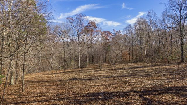 7368 Overbey Rd, Fairview, TN 37062
